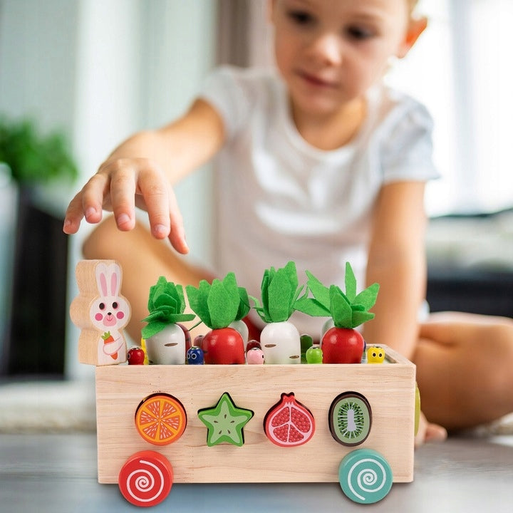 PUZZLE MONTESSORI WOODEN BRICK SORTER CATCH WORM CARROT CART Packaging status original