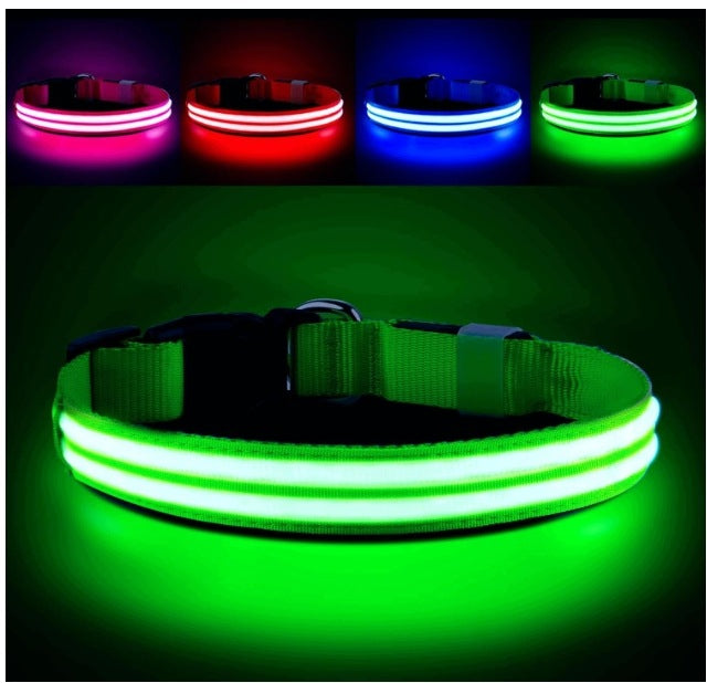 PcEoTllar Glowing Dog Collar, USB Rechargeable, Glowing