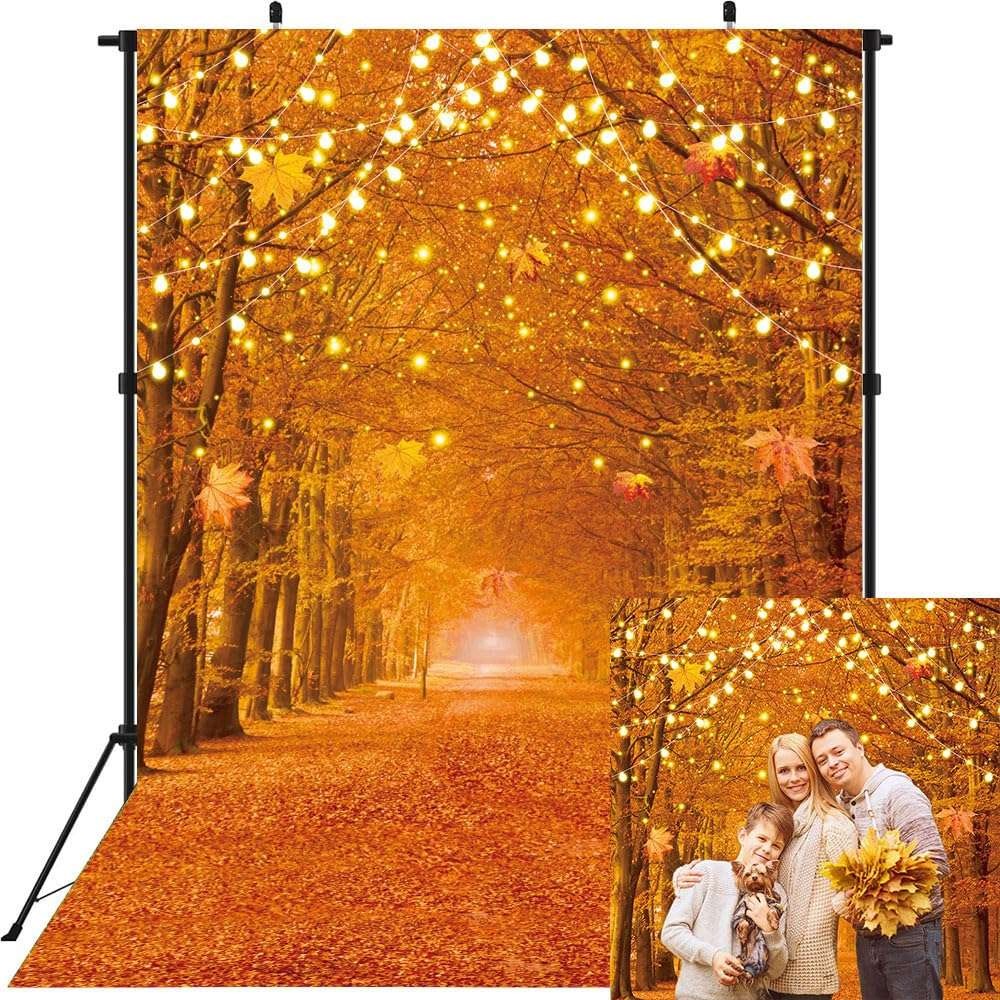 Photo background Autumn forest Pumpkin 150x210 cm