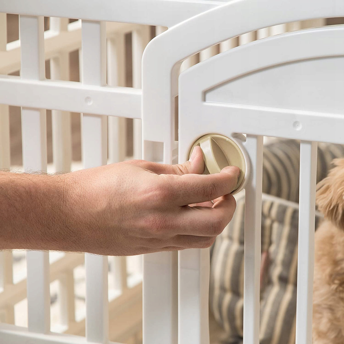 Playpen Iris small dog 92 x 92 x 60 cm Manufacturer code CI-604123