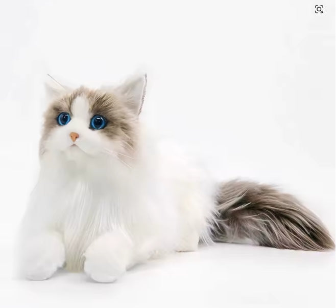 Plush toy King kitten Ragdoll white 40 cm Manufacturer code AA1-ZZXY116