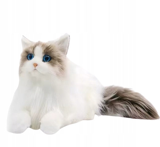 Plush toy King kitten Ragdoll white 40 cm