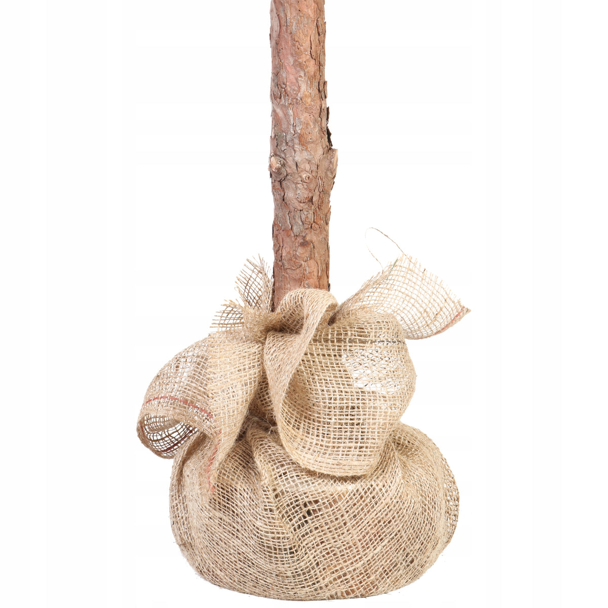 Poland ARTIFICIAL CHRISTMAS TREE ON THE TRUNK Christmas tree NATURAL TRUNK 160 cm Manufacturer code OLA160PN