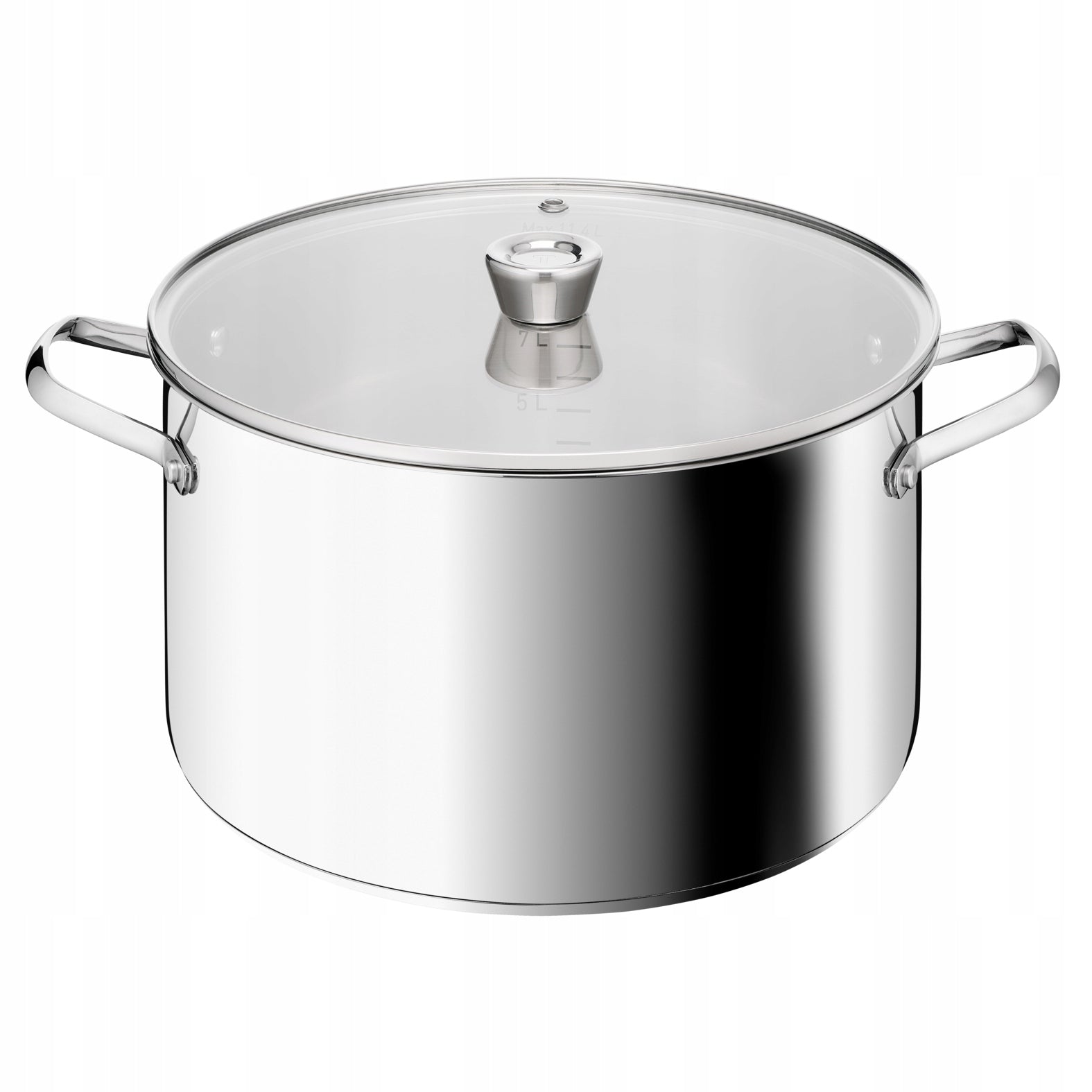 Pot with lid TEFAL Emotion+E3366955 30cm 11,4L induction