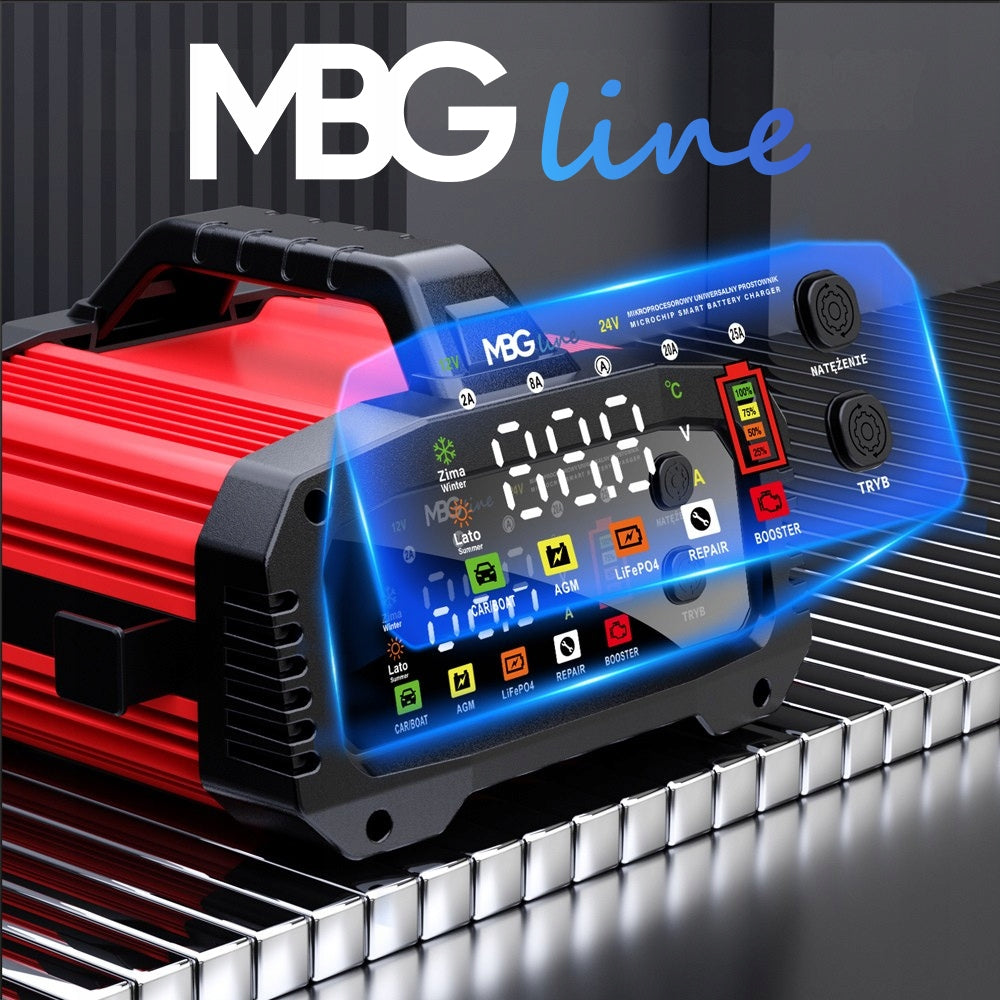 Powerful Intelligent Car Rectifier Battery Charger 24V 12V 25A Manufacturer's catalog number FPT-250 MAX