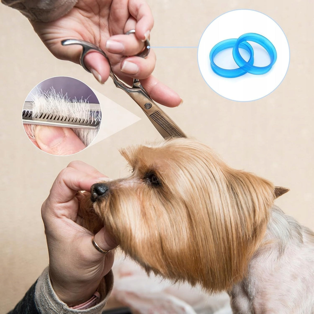 Professional Dog Grooming Scissors Set Gift 5in1 Manufacturer code Profesjonalne Nozyczki do Strzyzenia Psow 5w1