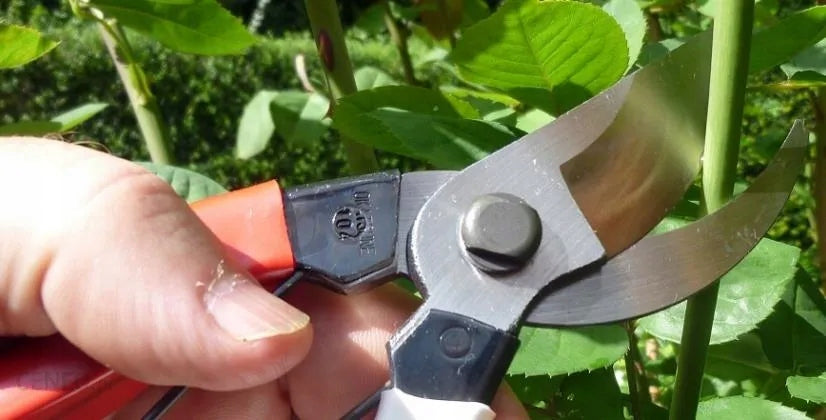Professional Japanese PRUNER Okatsune 103 Manufacturer code 103