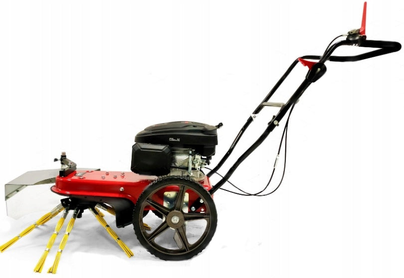Pushed diesel weeder CEDRUS SC02 Loncin Brand Cedrus