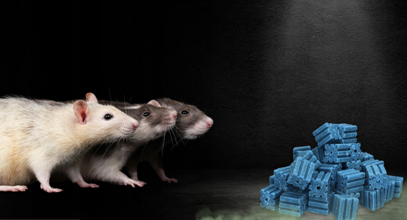 RATIMOR BRODIFAKUM Poison for mice and rats Poison Blue cube 3kg Brand Ratimor