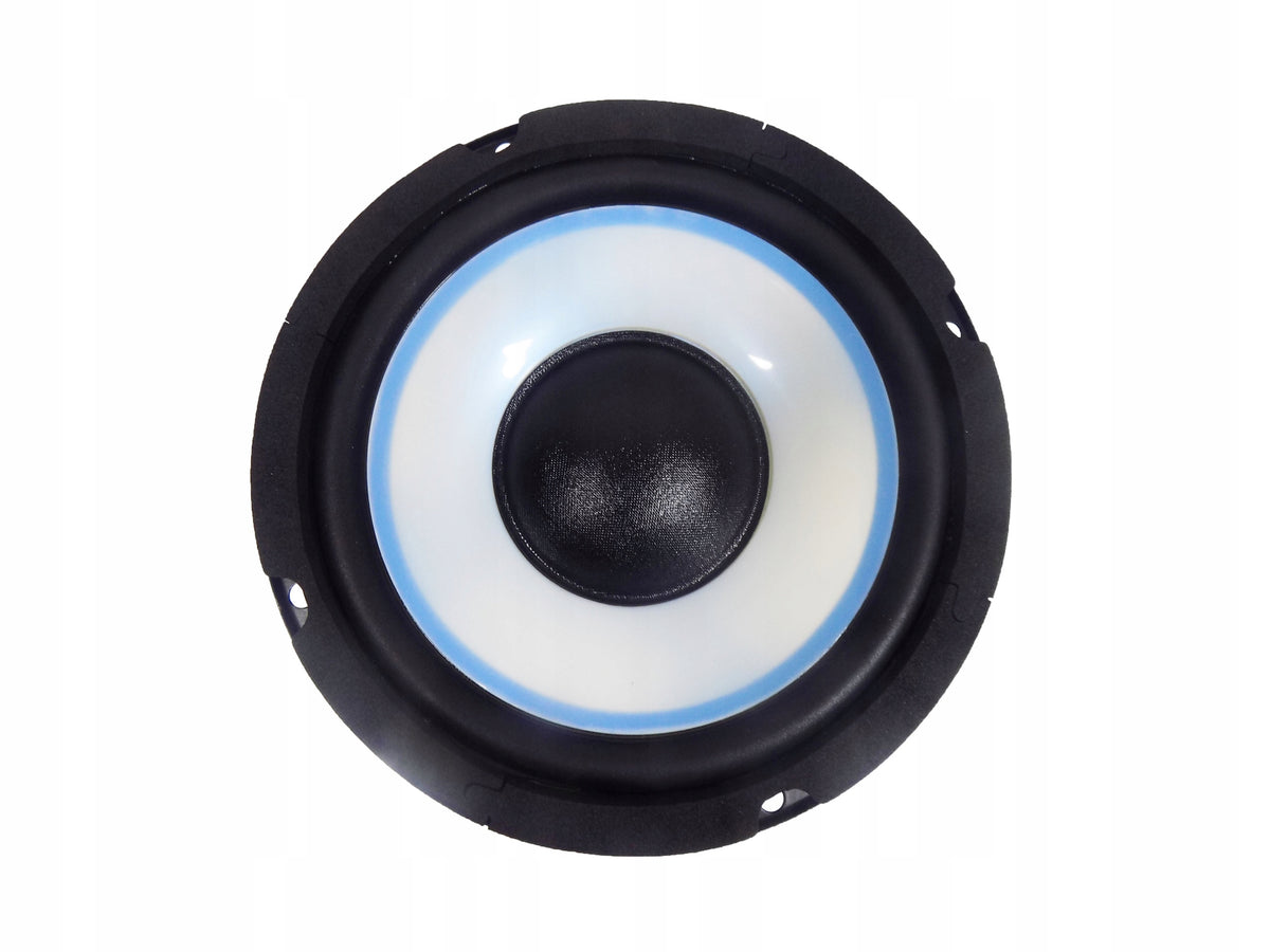 REGENT BASS SPEAKERS PEUGEOT 206 207 307 407 Manufacturer no brand