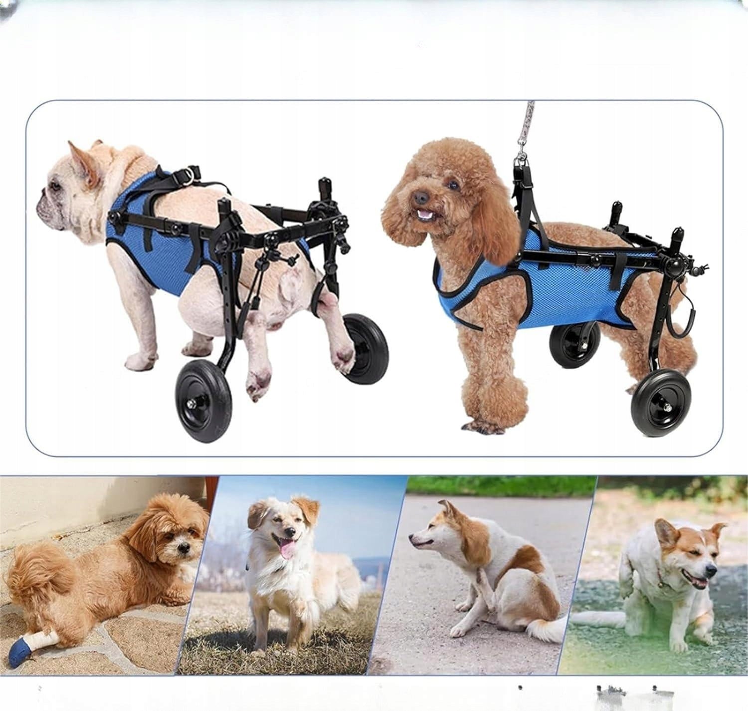 REHABILITATION WHEELCHAIR FOR DOGS WITH REAR LEGS FOR ANIMALS M Manufacturer code SKU77985