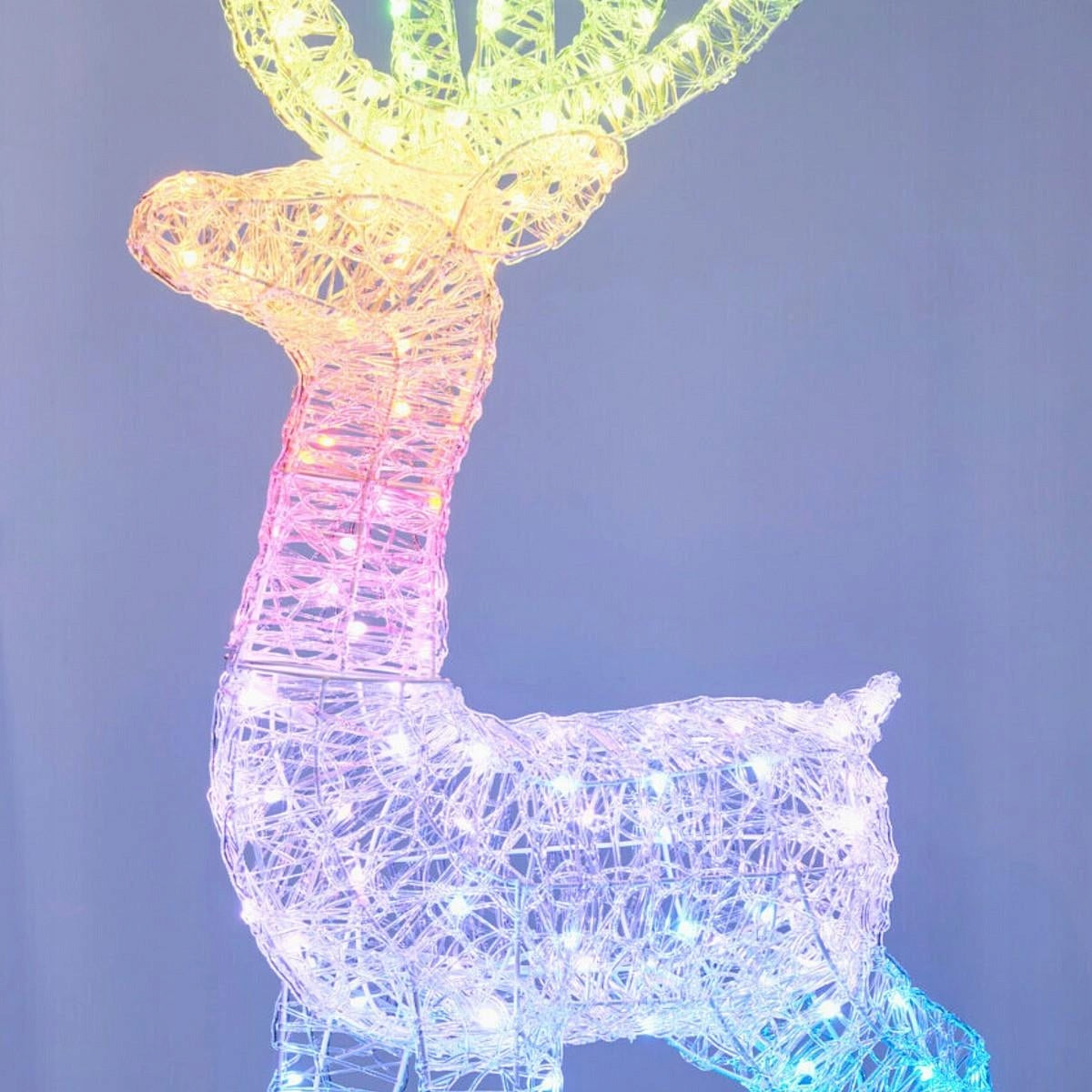 REINDEER Light Decoration Garden Light Ornament 120cm 165 LED RGB Timer EAN (GTIN) 8721037649926