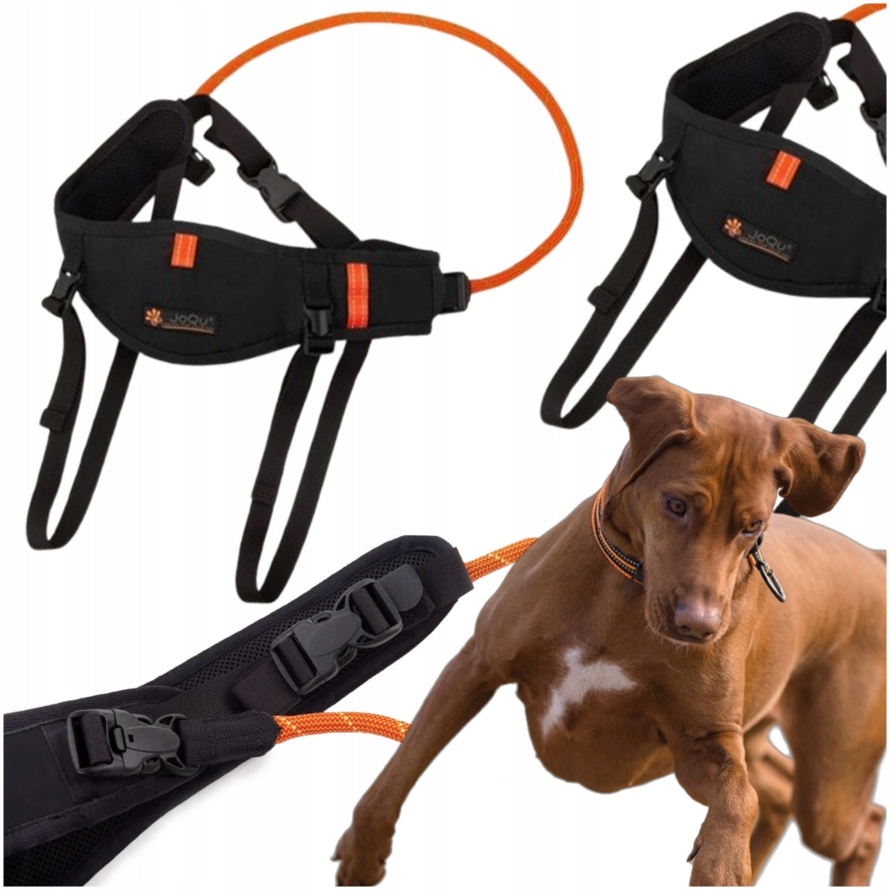 RUNNING BELT WITH DOG JOQU CANICROSS BELT PLUS BLACK L/XL