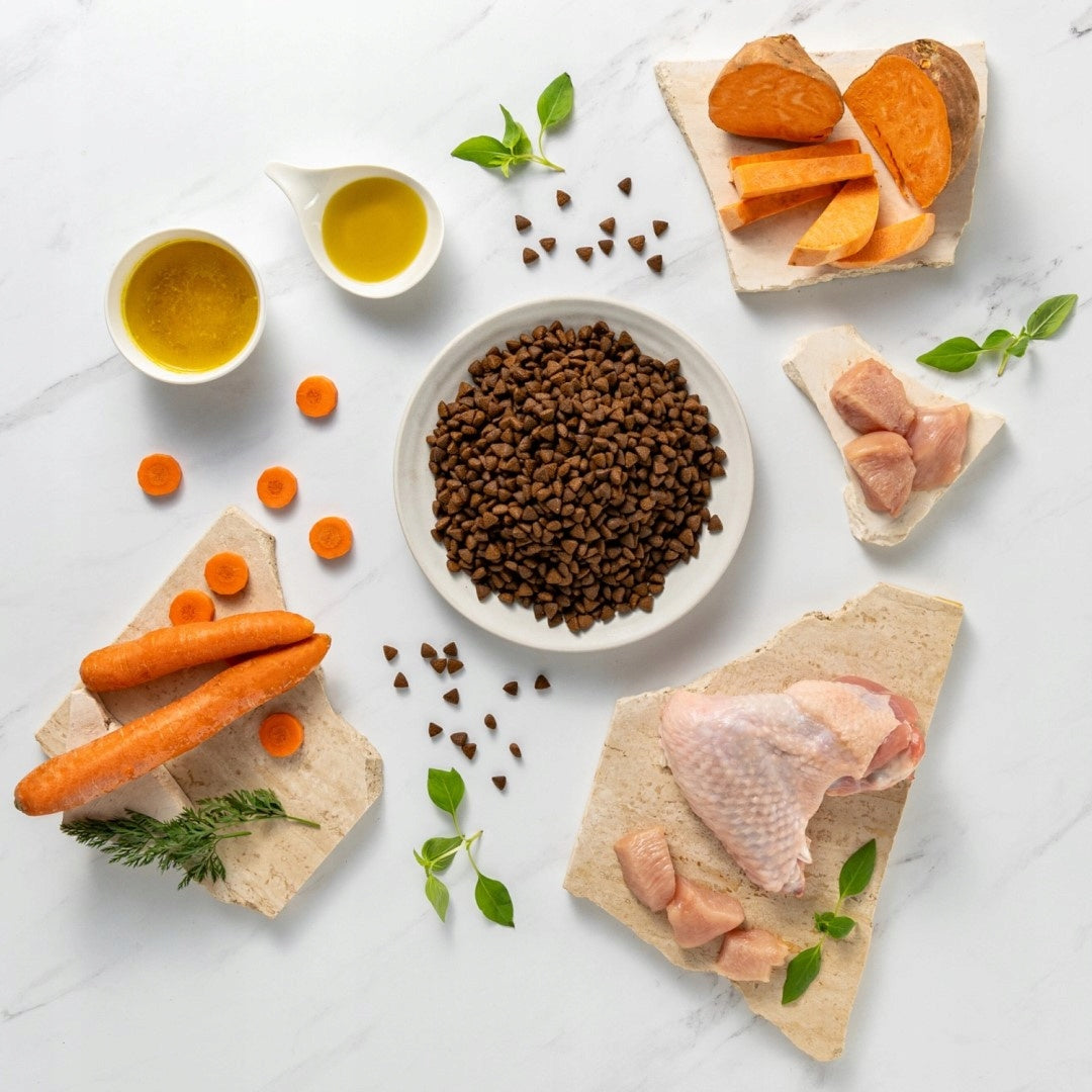 Raw Paleo Ultra Mini Adult 2kg Dry Food with Turkey for Small Breed Dogs Brand Raw Paleo