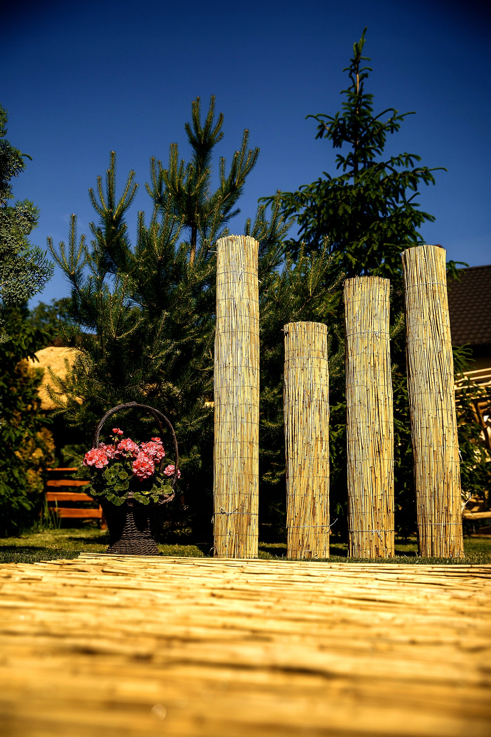 Reed mat reed mats reed 1.5x6.0m PROMOTION!! Manufacturer code r2909