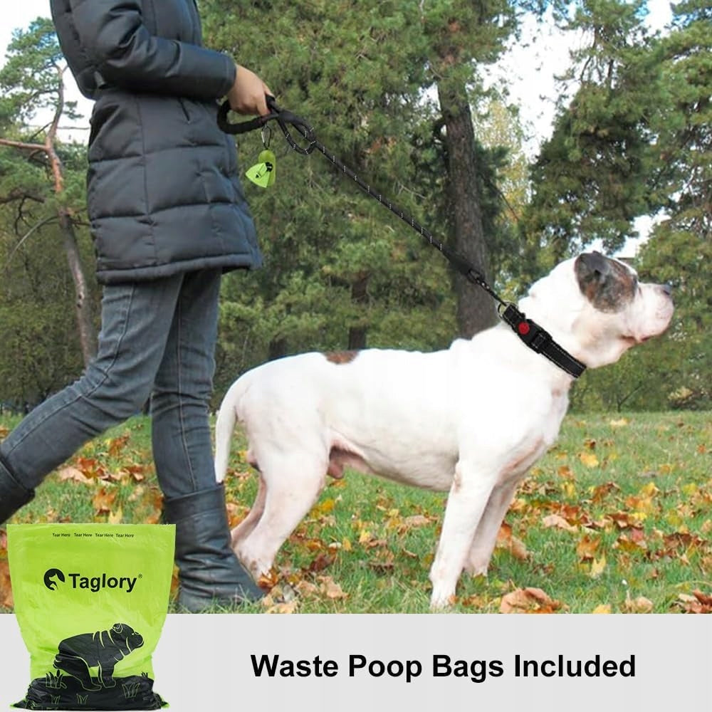 Reflective Dog Leash 6FT, Padded Handle for Medium Large Dogs, 1/2 Inch Packaging status original