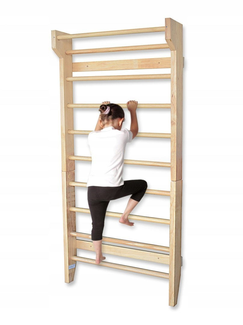 Rehabilitation Gymnastic Ladder for Exercise