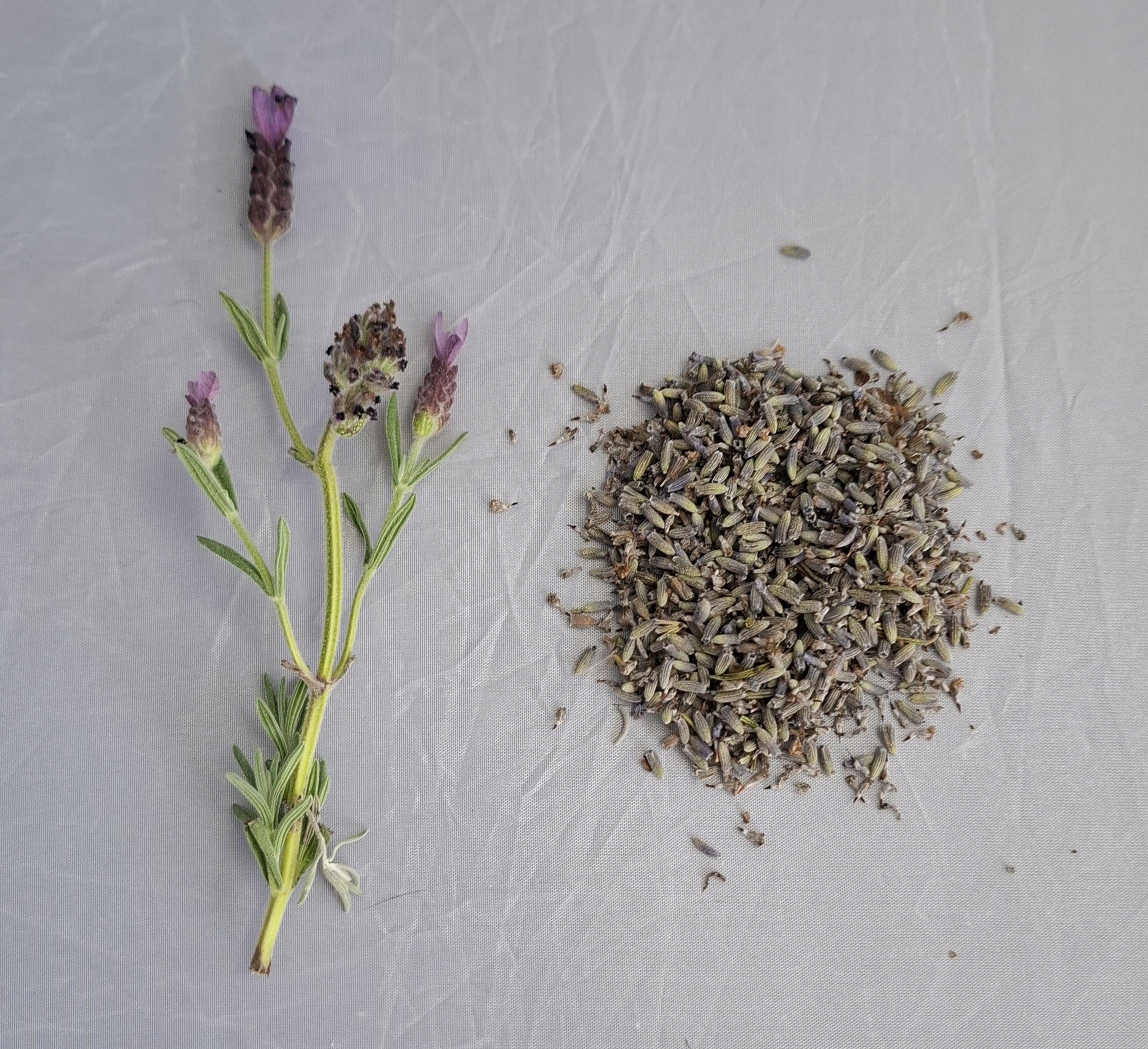 Relaxation bag for eyes lavender seeds linen lavender yoga + pillowcase Brand no brand