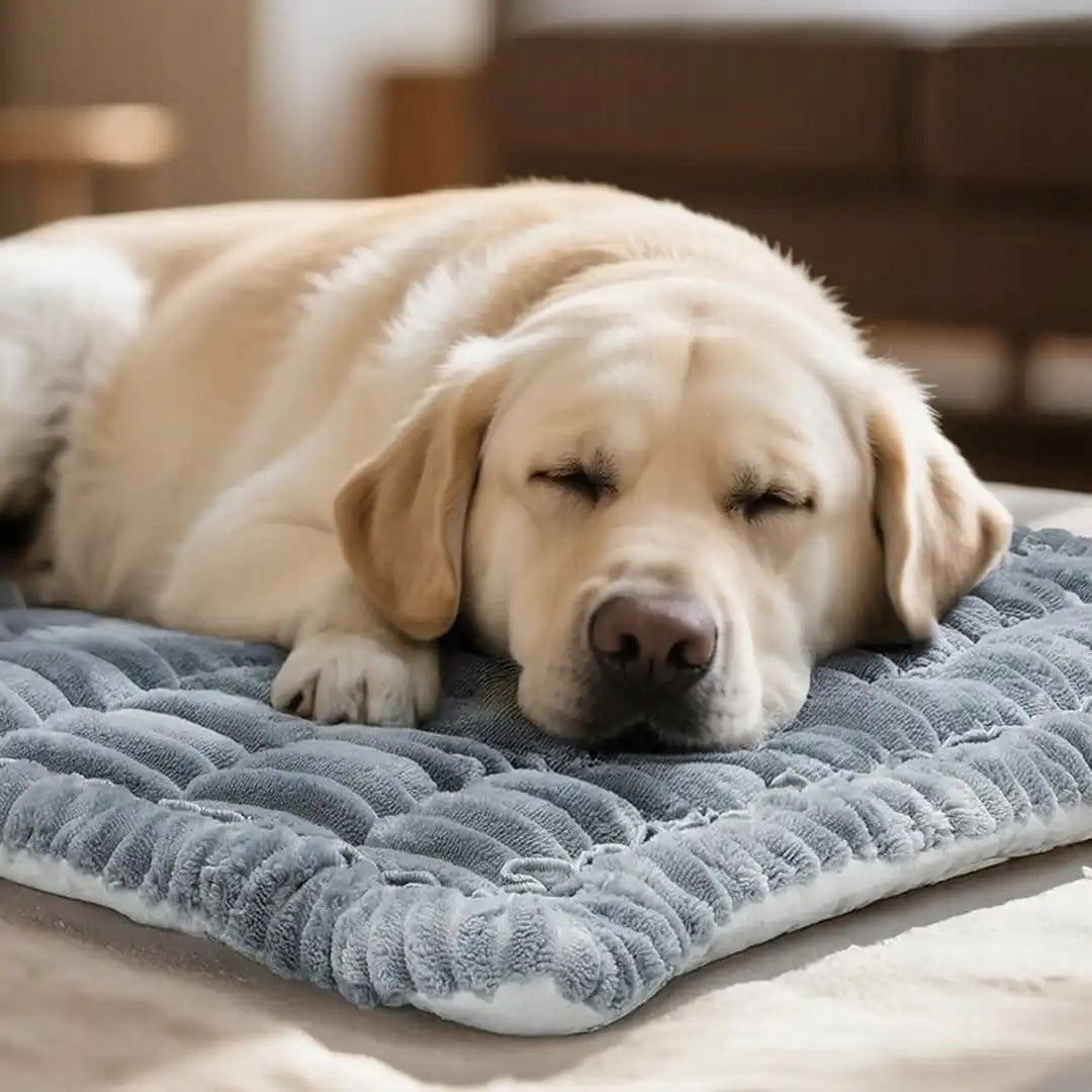 Removable car mat bed with stiffened bottom BANANA DOG Manufacturer code wyjmowane legowisko do maty do samochodu