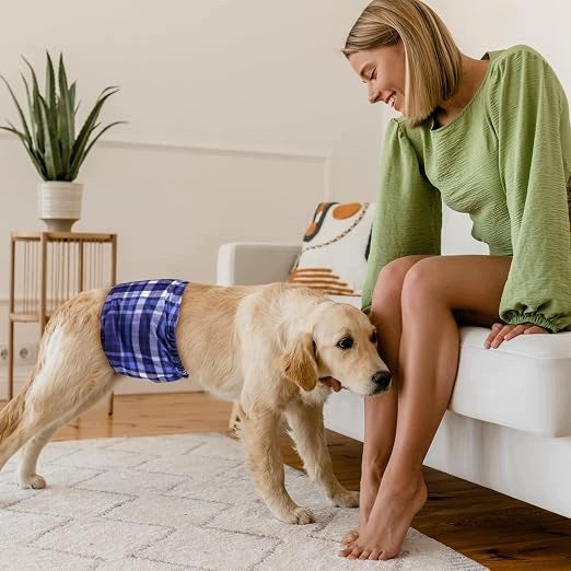 Reusable Dog Diapers Set of 3pcs Size XL Brand no brand