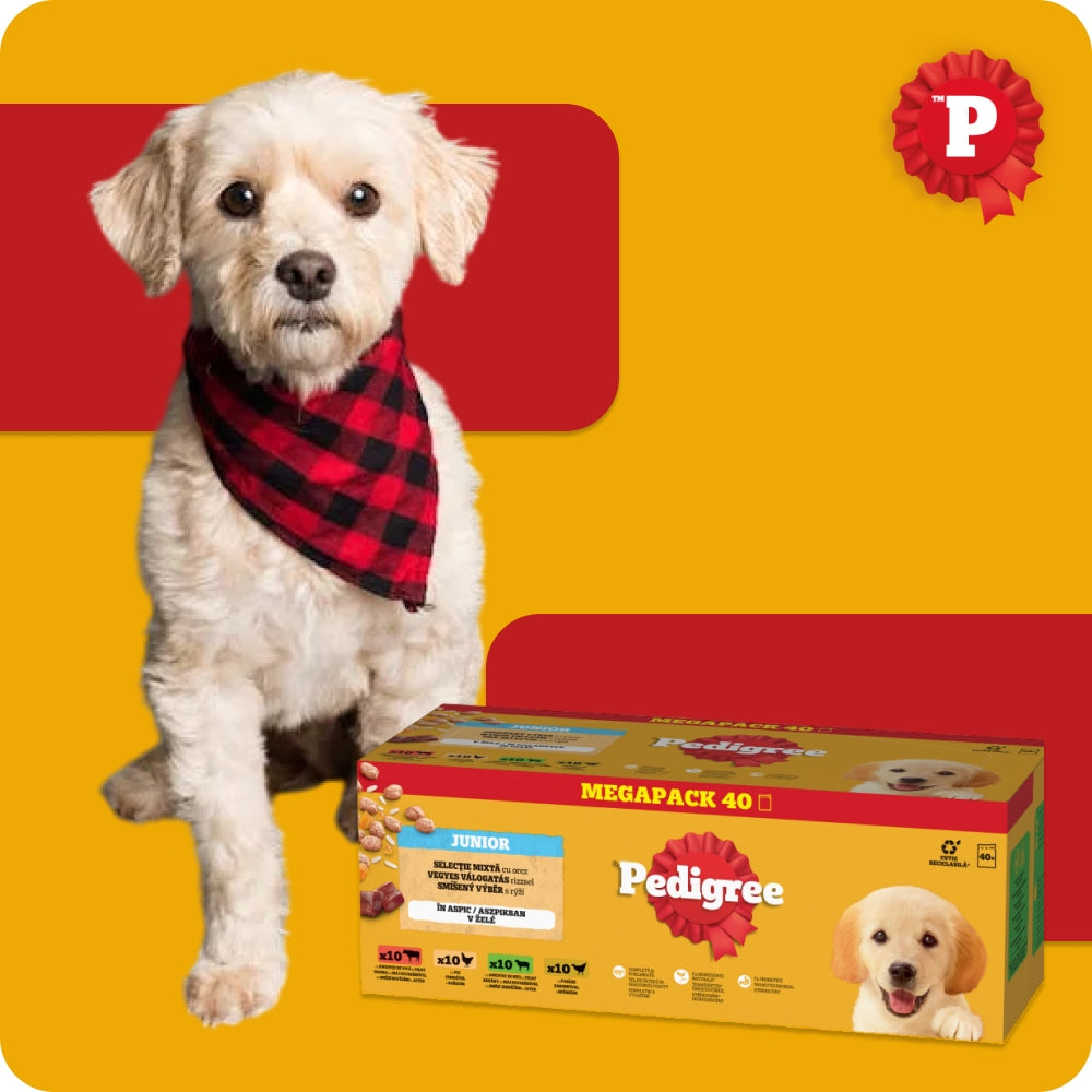 SACHETS PEDIGREE JUNIOR CHOICE OF FLAVORS WITH RICE IN JELLY 40X100G Brand Pedigree
