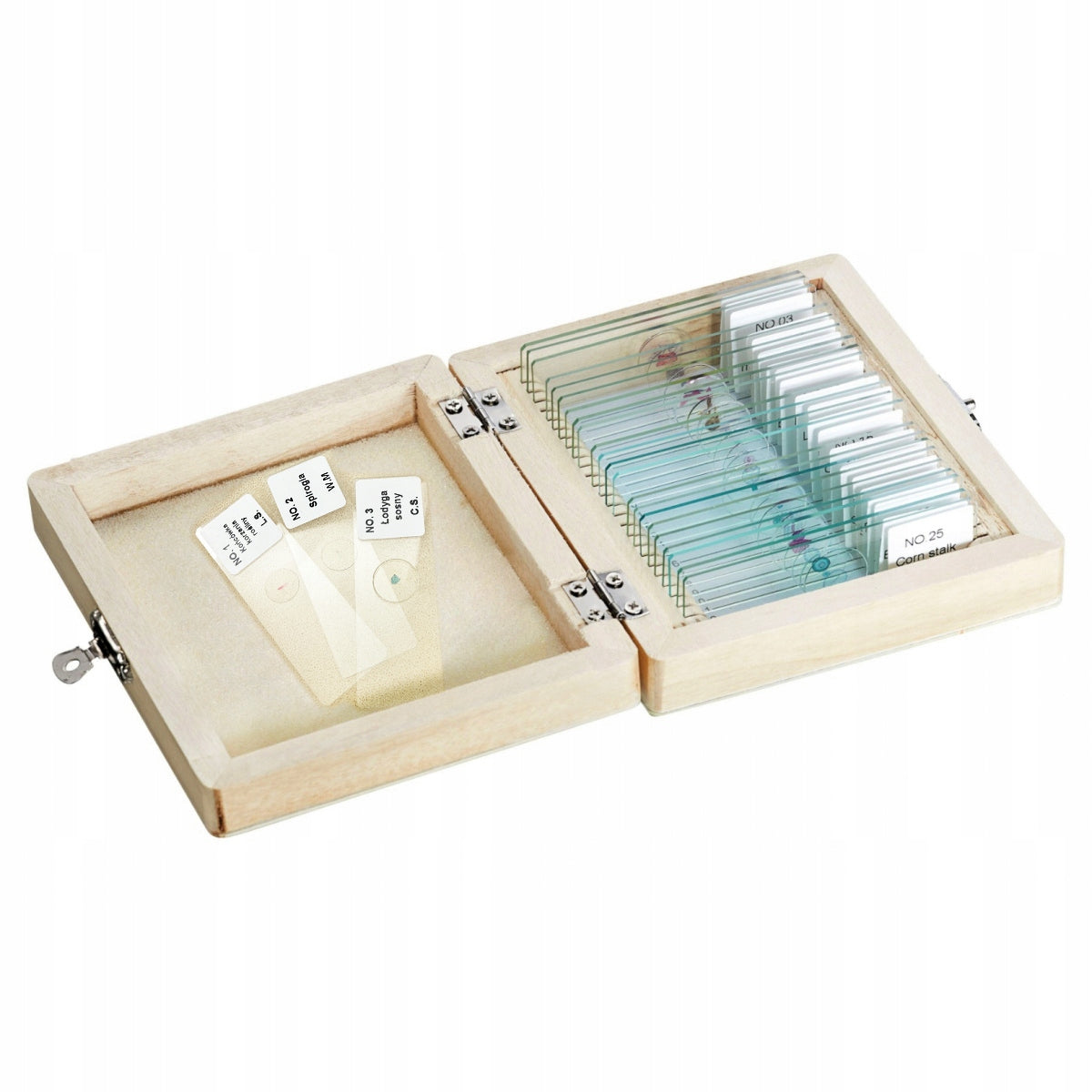 SAMPLE MICROSCOPE PREPARATIONS 25 MODELS ZOOLOGY BIOLOGY BOY'S DAY Brand no brand