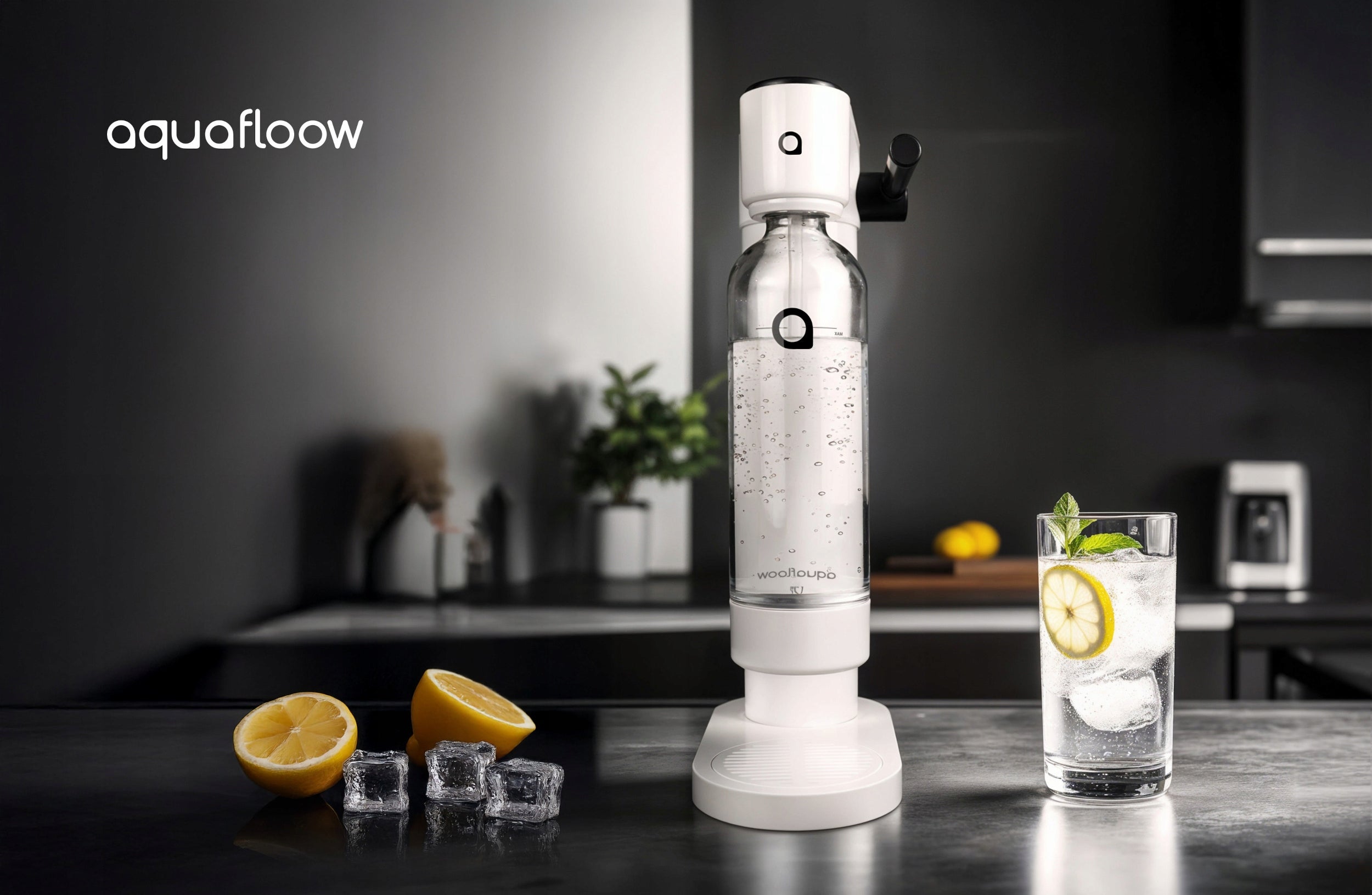 SATURATOR SYDO SPARKLING WATER AQUAFLOOW CYLINDER CO2 CYLINDER WATER BOTTLE Packaging status original