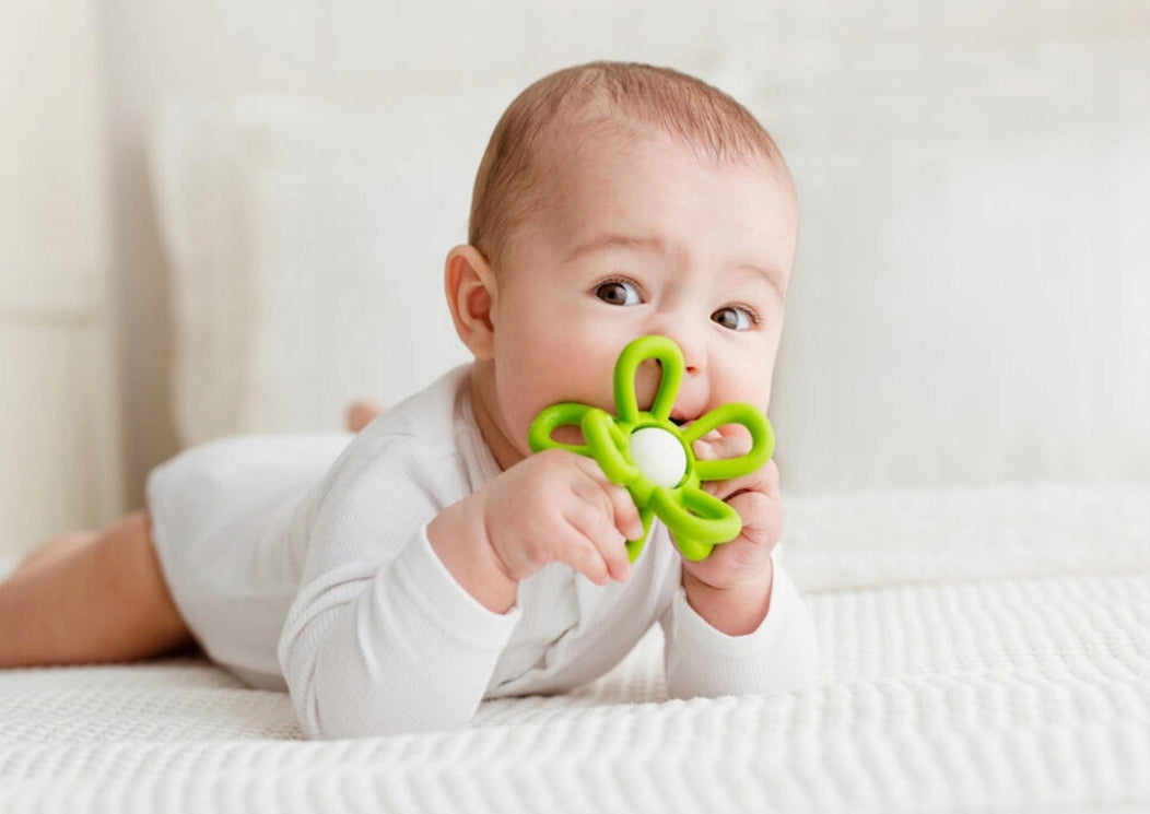 SENSORY RATTLE FLOWER GREEN DUMEL 45575 Color green