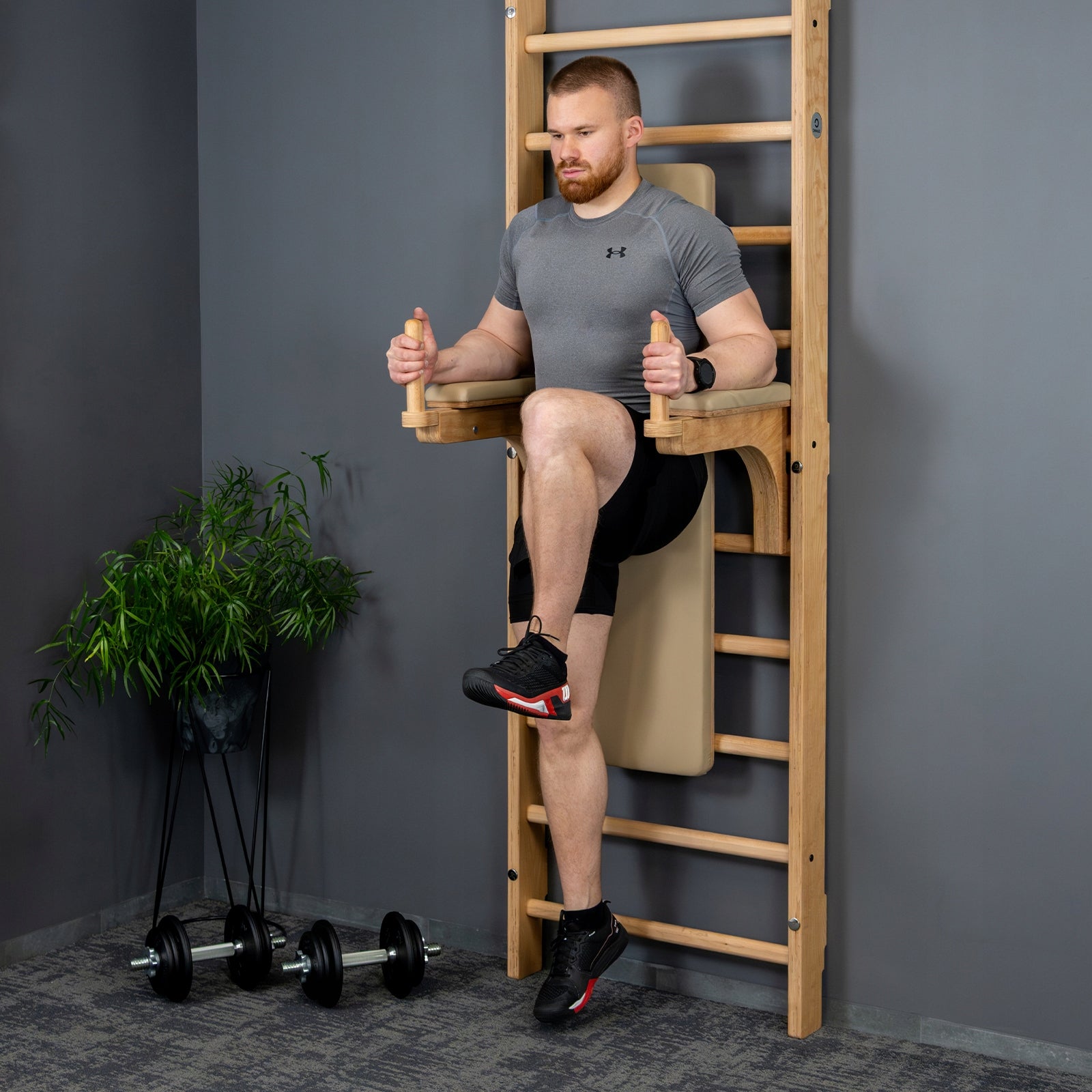 SET Gymnastic ladder PREMIUM ONMAX NORD 230cm+LUXO STATION wood/beige Manufacturer code ZNiLU-N