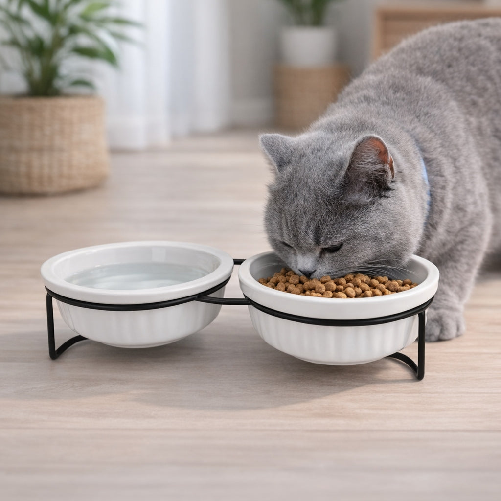 SET OF 2 CERAMIC BOWLS ON STEEL STAND FOR DOG AND CAT 2x360 ml Manufacturer code GLOBANI-MIS-02