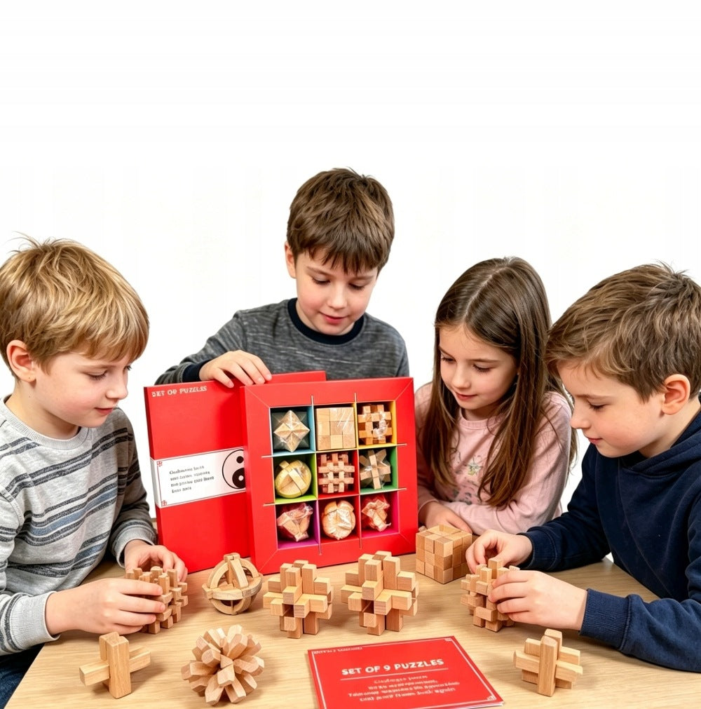 SET OF 9 PUZZLE LOGIC WOODEN PUZZLES WOODEN PUZZLE IQ Manufacturer code BPM-010