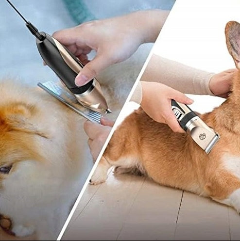 SET OF DOG RAZOR PROFESSIONAL WIRELESS Packaging status original