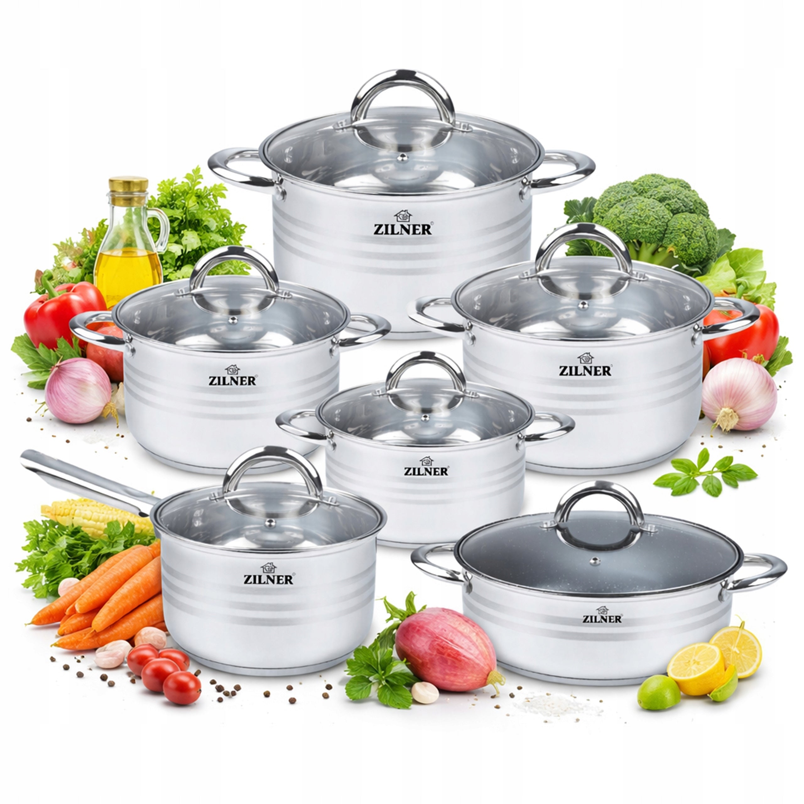 SET OF STAINLESS STEEL INDUCTION GAS POTS SET OF 12 ELE ZILNER