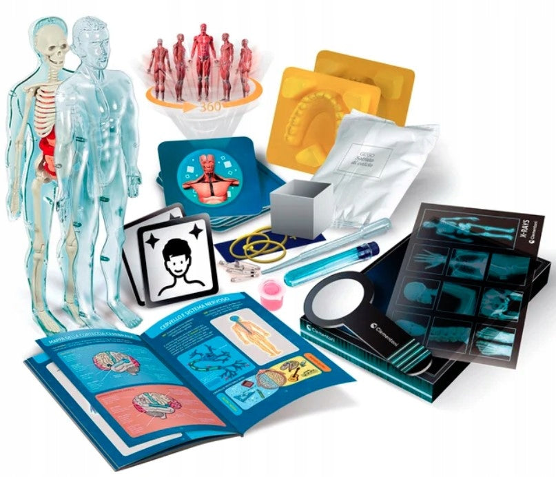 SET SUPER HUMAN ANATOMY LEARNING FUN FOR CHILDREN CLEMENTONI Brand Clementoni