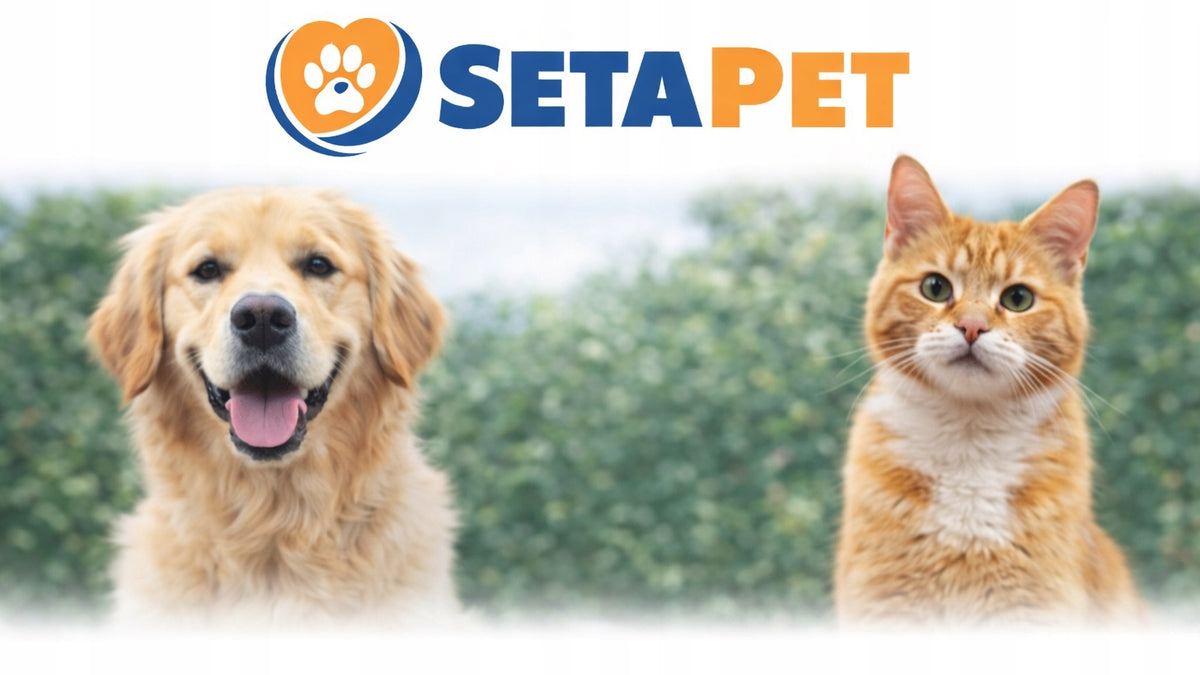 SETAPET wet wipes with chlorhexidine for cat dog PREMIUM 100pcs. Medical device no