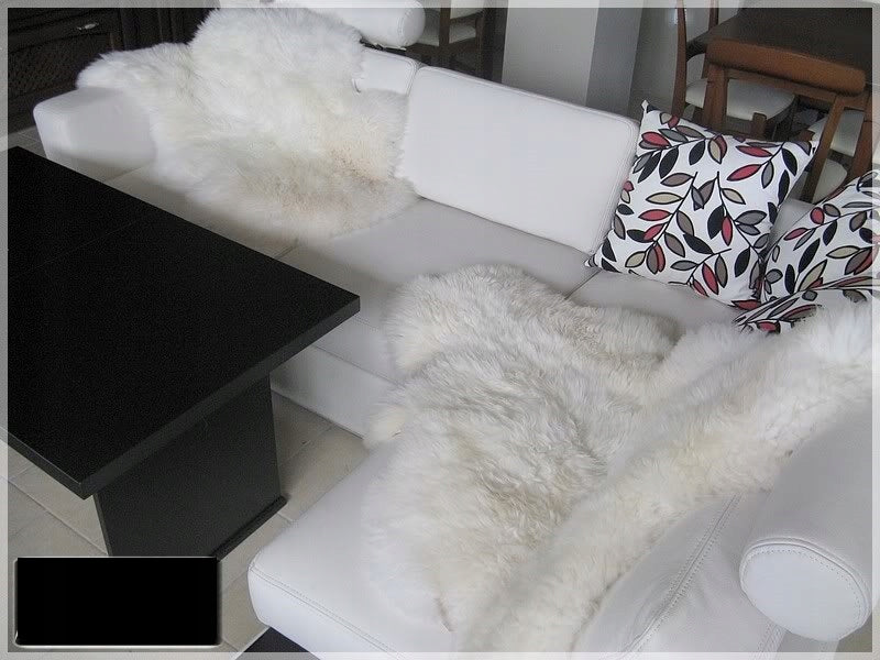 SHEEPSKIN 140-150 cm LARGE GIANT XXXL Brand no brand