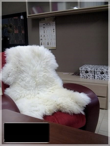 SHEEPSKIN 140-150 cm LARGE GIANT XXXL Manufacturer code 140biel
