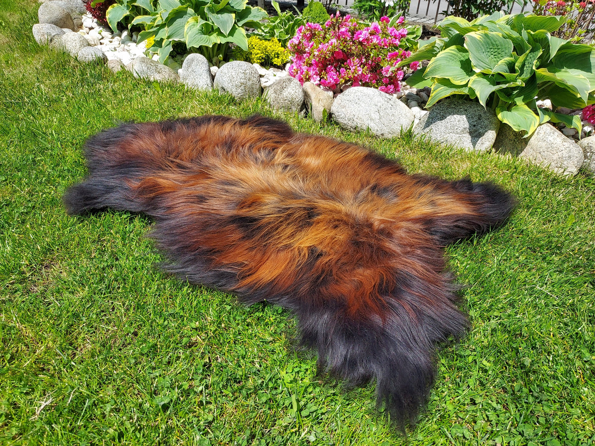 SHEEPSKIN FIERY BLACK XXL UNIQUE BLACK WITH FLAMES Manufacturer code 31c