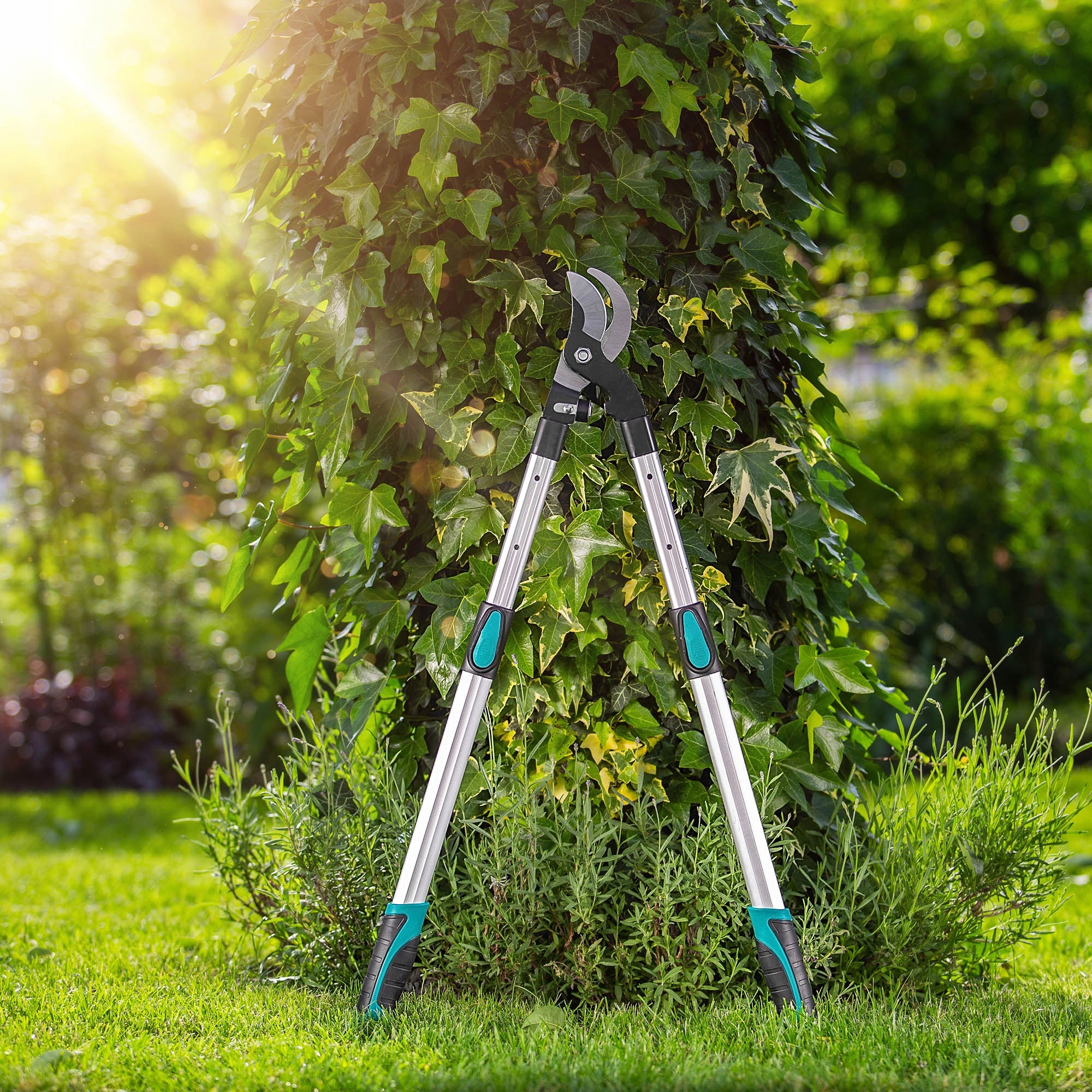 SHRUB BRANCH PRUNER TELESCOPIC HANDHELD GARDEN SCISSORS SOLID SHARP Brand Kadax