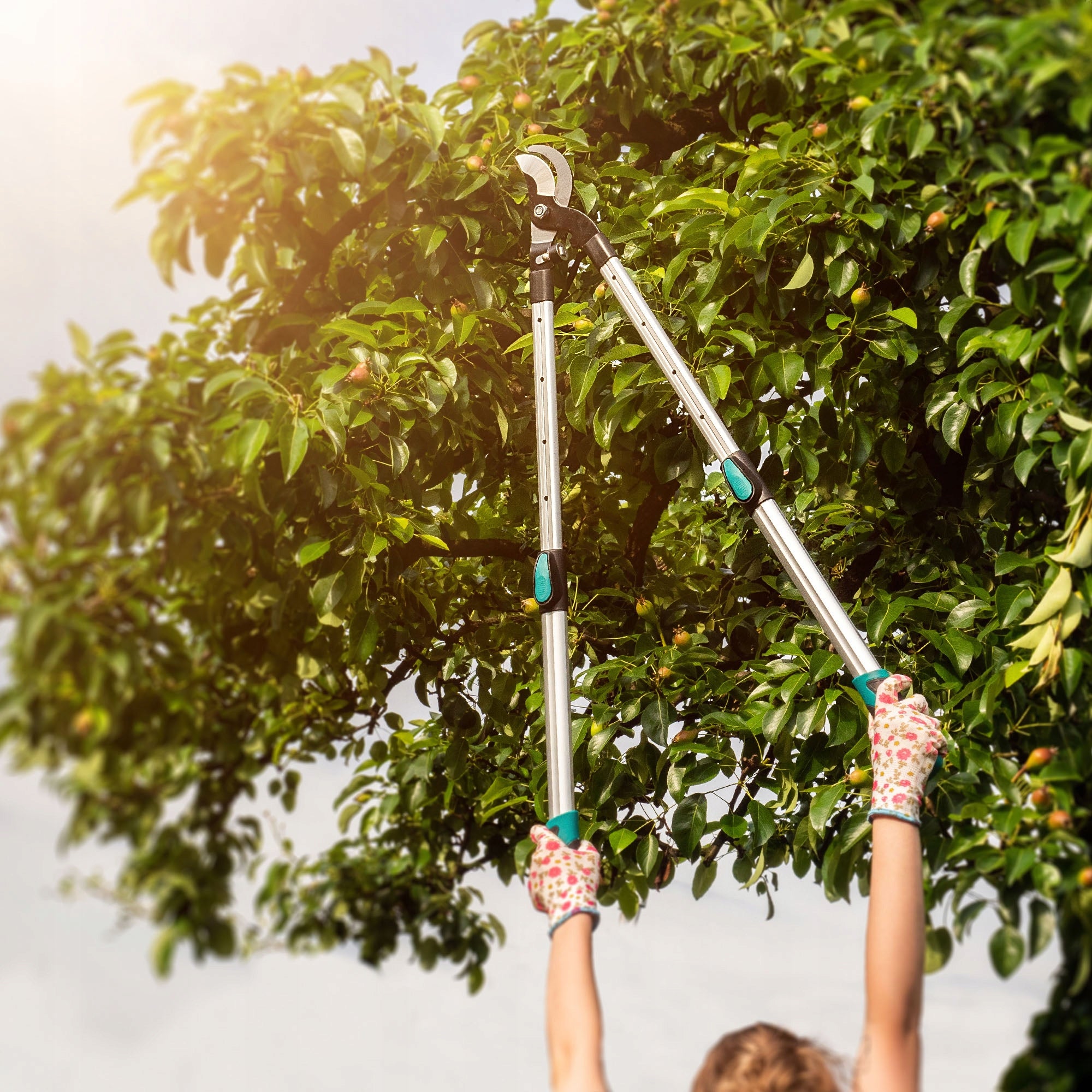 SHRUB BRANCH PRUNER TELESCOPIC HANDHELD GARDEN SCISSORS SOLID SHARP Power supply handheld