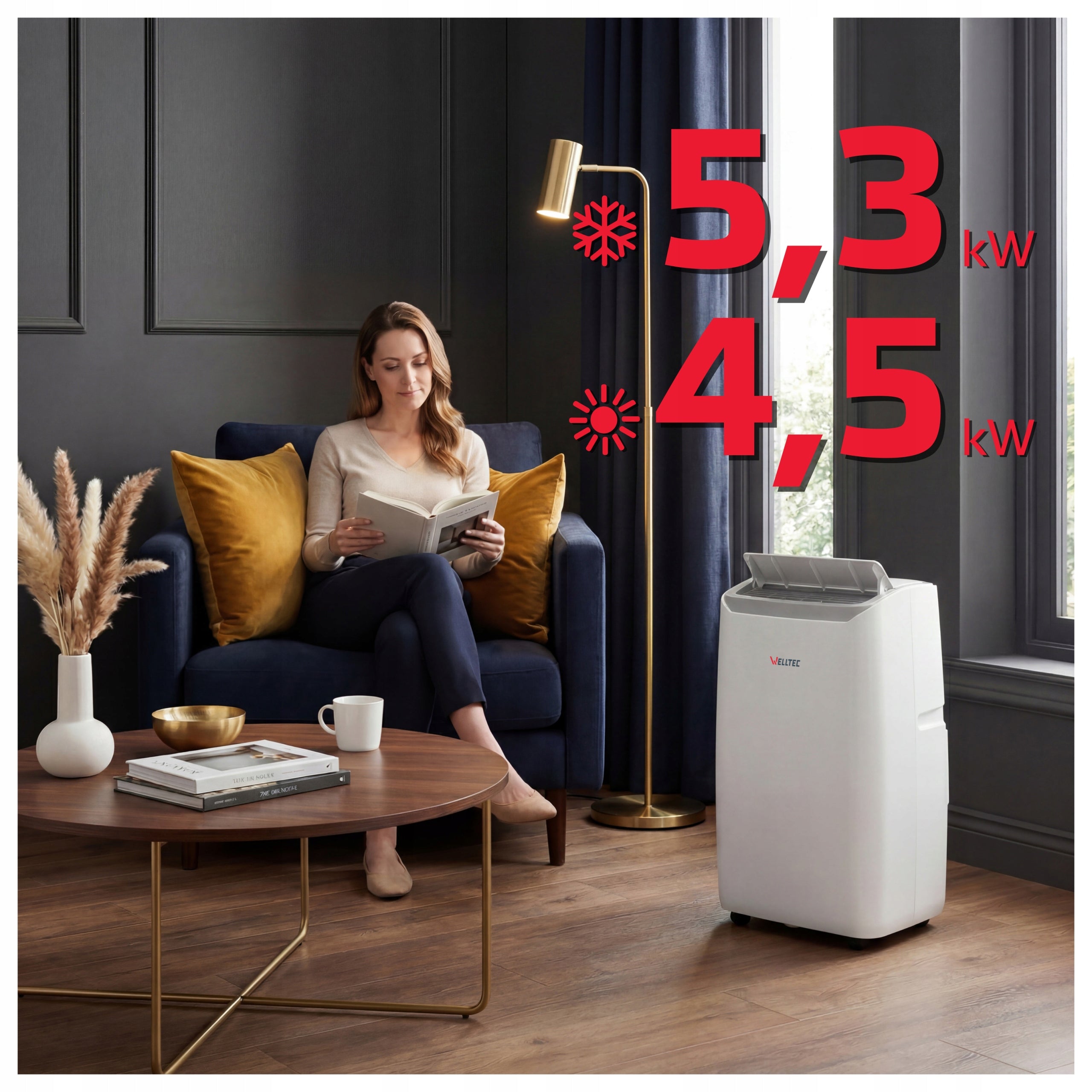 SILENT PORTABLE AIR CONDITIONER WELLTEC ACM18 - 4in1 WiFi 5,3kW to 110m² Packaging status original