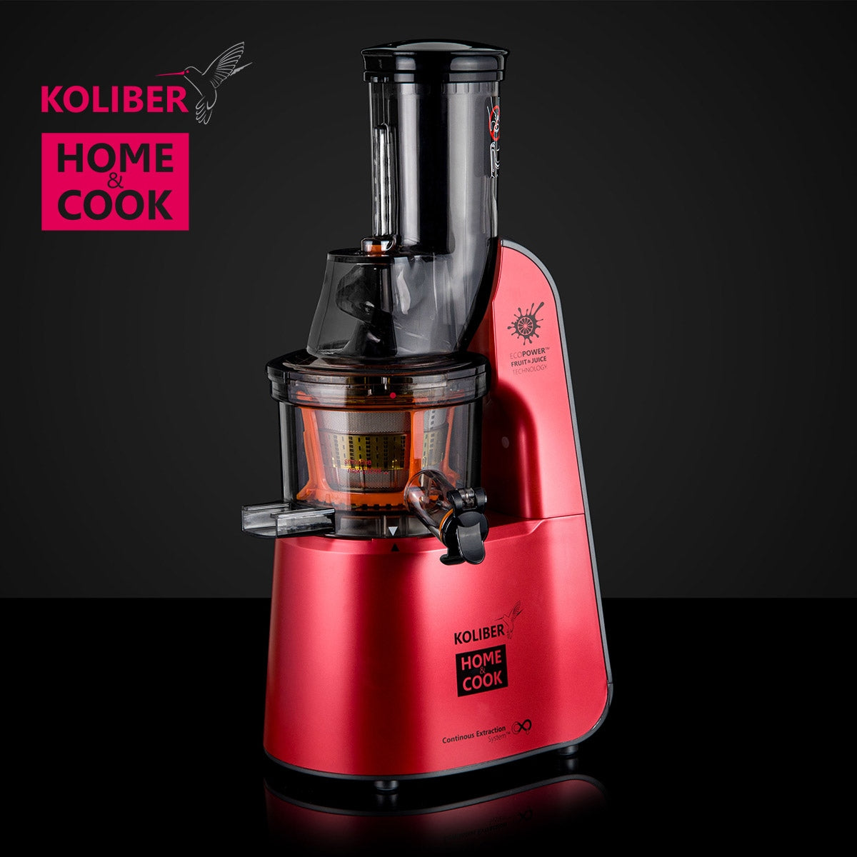 SLOW JUICER X-800-W 3in1 FOR FRUIT VEGETABLE JUICES 3 FILTERS Manufacturer code KH-SJ2475PE3-R