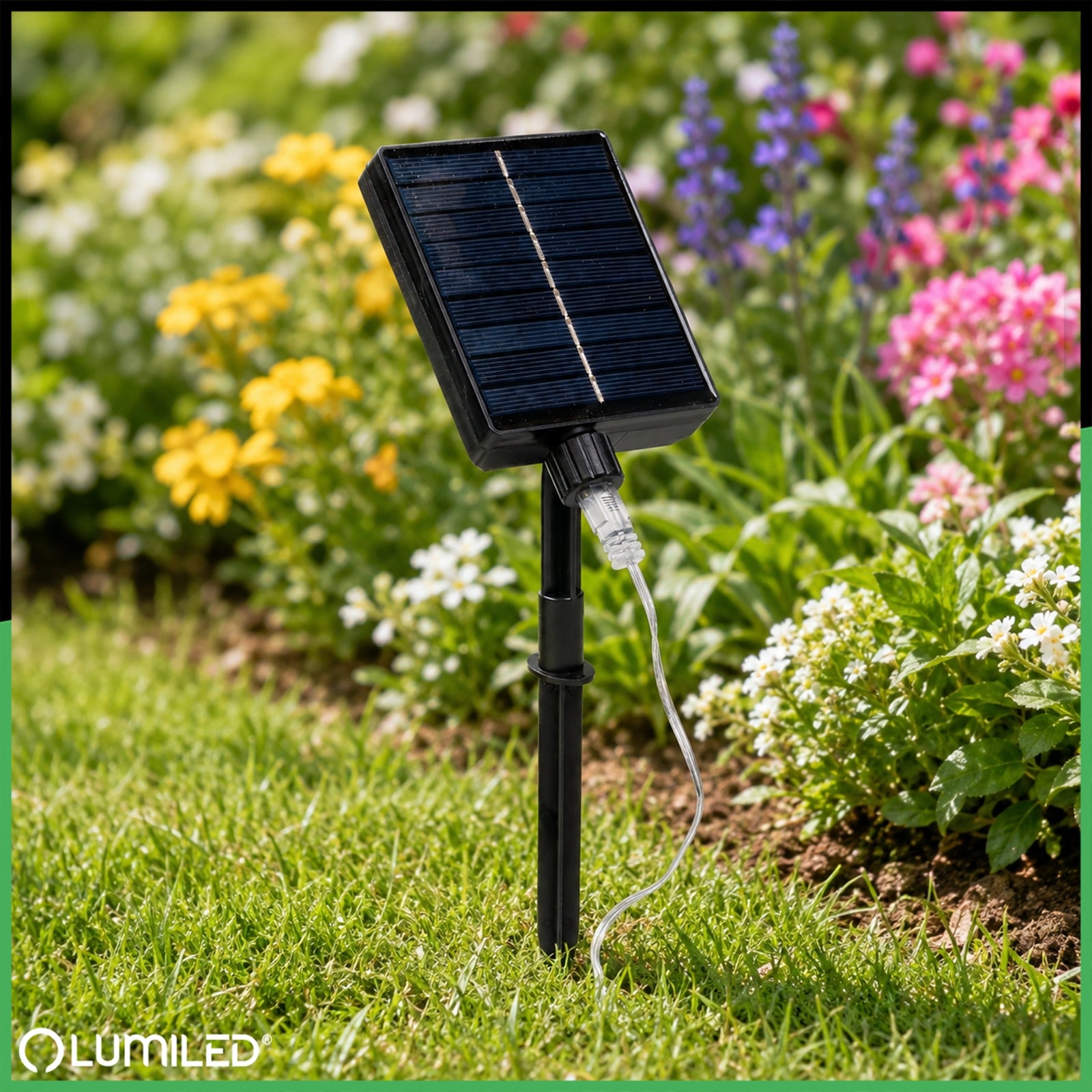 SOLAR Garden Garland 5x DANDELION Fireworks FOR TERRACE Sensor + REMOTE CONTROL Brand Lumiled