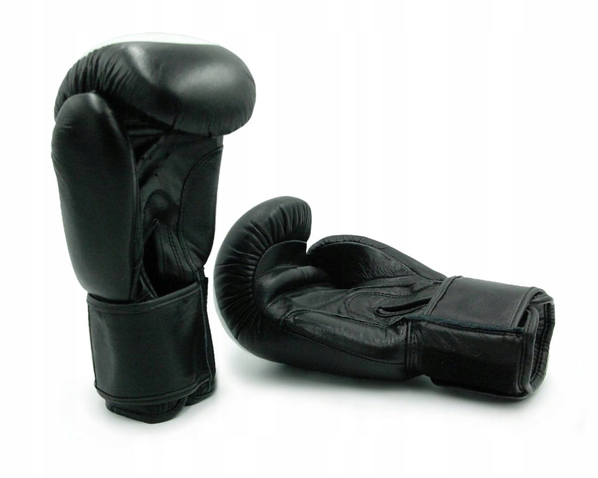 SPARRING BOXING GLOVES EVOLUTION 16OZ Brand Evolution