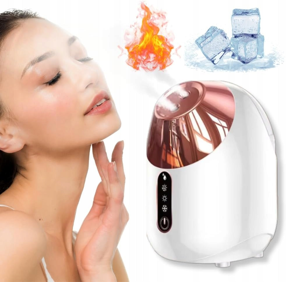 SPRAYER MULTIFUNCTION SPRAYER SAUNA MINI FACE HUMIDIFIER 4IN1