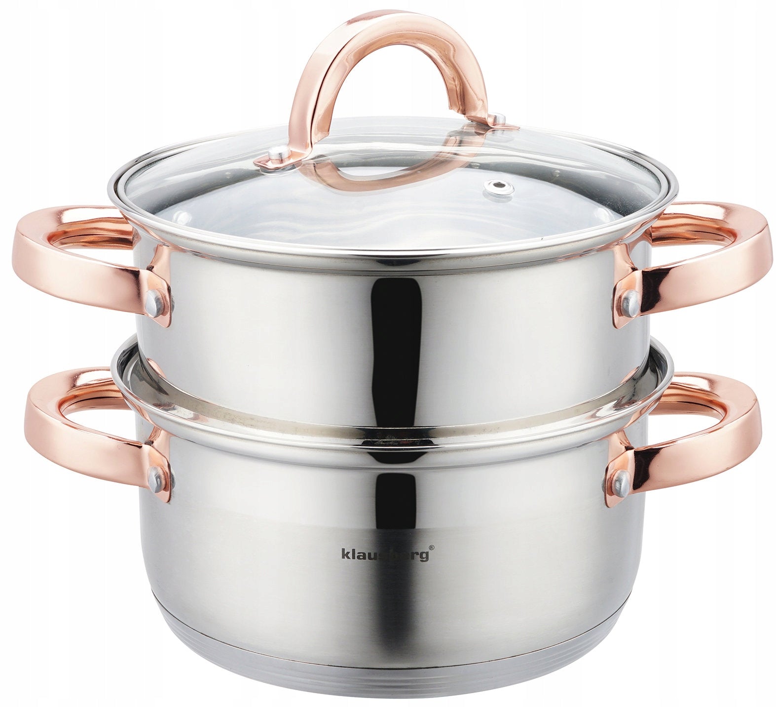 STEAMING POT induction stainless steel pot 2.5 L