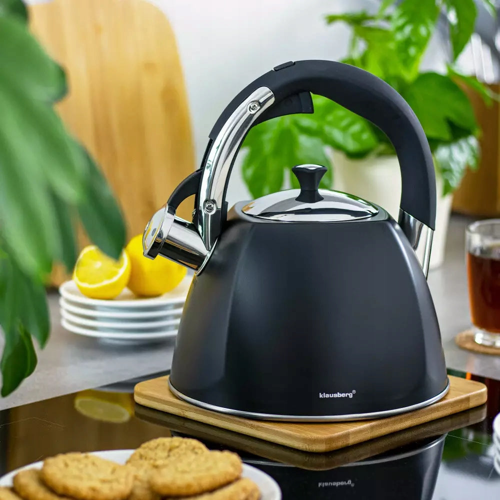 STEEL KETTLE 3L BLACK WITH WHISTLE GAS INDUCTION Brand Klausberg
