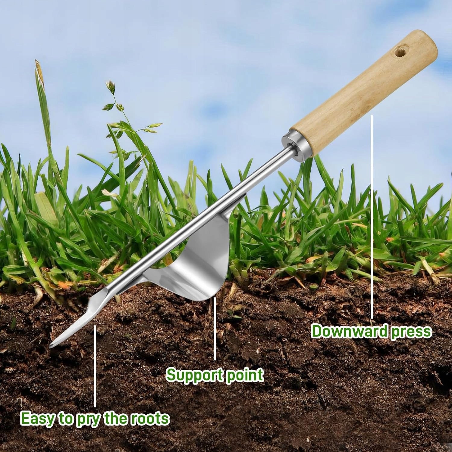 STEEL WEED REMOVAL TOOL WITH WOODEN HANDLE EAN (GTIN) 5904521626907