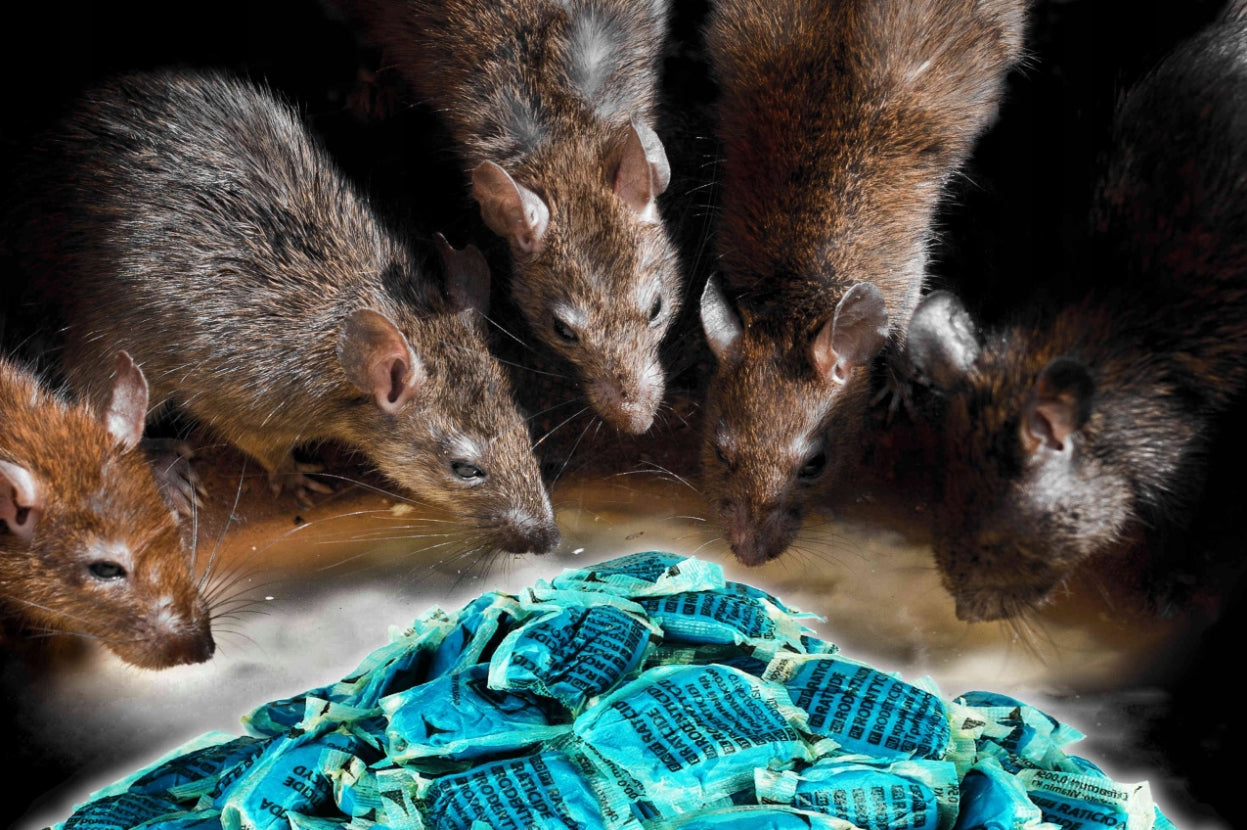 STRONGEST POISON FOR LARGE RODENTS IN ATTICS PASTE STRONG 1500 G Packaging status original