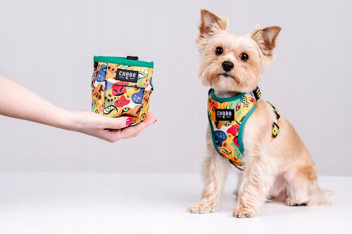 Sachet Pouch for Treats and Pouches for Dog Feces Multifunctional 2in1 Manufacturer code 1